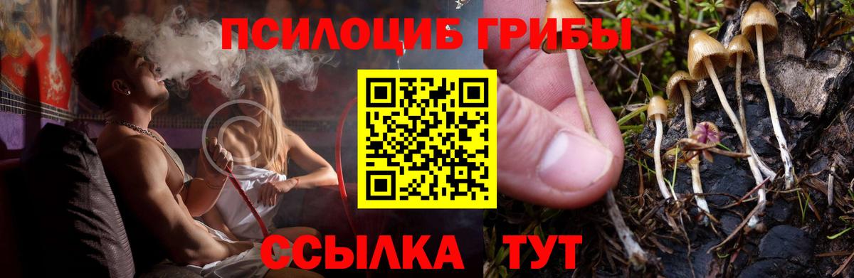 Галлюциногенные грибы Psilocybe  Псилоцибиновые грибы Magic Shrooms  Вход с VPN  Нововоронеж 