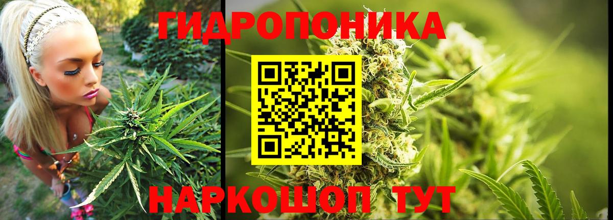 Нововоронеж  Бошки марихуана Amnesia  Марихуана AK-47  Марихуана тримм  Вход с VPN  Шишки марихуана семена 